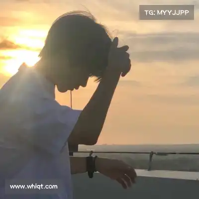 沈维朵